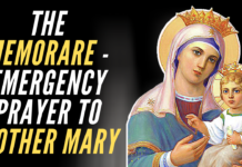 Powerful Memorare Prayer to the Virgin Mary to grant impossible Requests