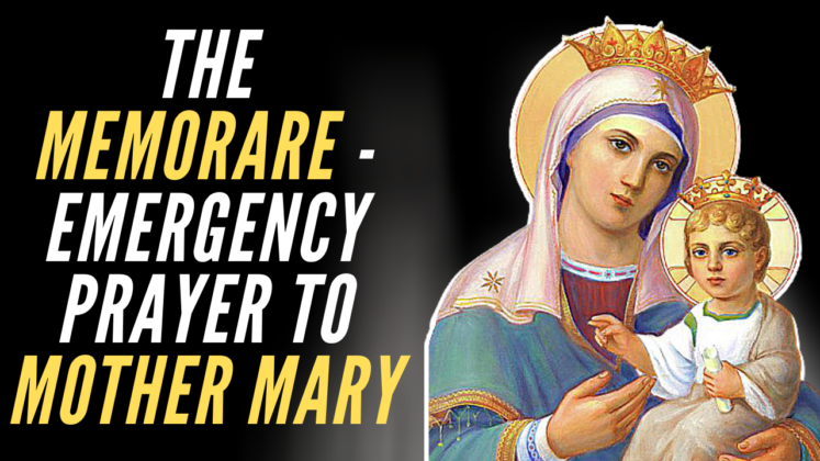 Powerful Memorare Prayer to the Virgin Mary to grant impossible ...